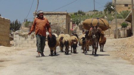 الشطانية والشوال والشلف 